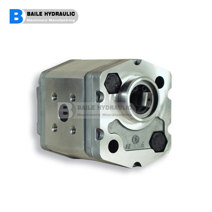 MARZOCCHI GEAR PUMP K1P KL1P KF1P SERIES KL1P D 16G KL1P D 2G KL1P D 25 G KL1P D 3,3 G KL1P D 4,2 G KL1P D 5G KL1P D 5,8 G KL1P D 6,7 GKLIP D 7.5 G KL1P D 9,2 G KL1P D 11,5 G K1P D 1.6G K1P D 2 G K1P D 2.5 G K1P D 3,3 G K1P D 4.2 G K1P D 5G K1P D 5,8 GKIP D 6,7 G K1P D 7,5 G K1P 