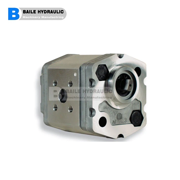 MARZOCCHI GEAR PUMP K1P KL1P KF1P SERIES KL1P D 16G KL1P D 2G KL1P D 25 G KL1P D 3,3 G KL1P D 4,2 G KL1P D 5G KL1P D 5,8 G KL1P D 6,7 GKLIP D 7.5 G KL1P D 9,2 G KL1P D 11,5 G K1P D 1.6G K1P D 2 G K1P D 2.5 G K1P D 3,3 G K1P D 4.2 G K1P D 5G K1P D 5,8 GKIP D 6,7 G K1P D 7,5 G K1P 